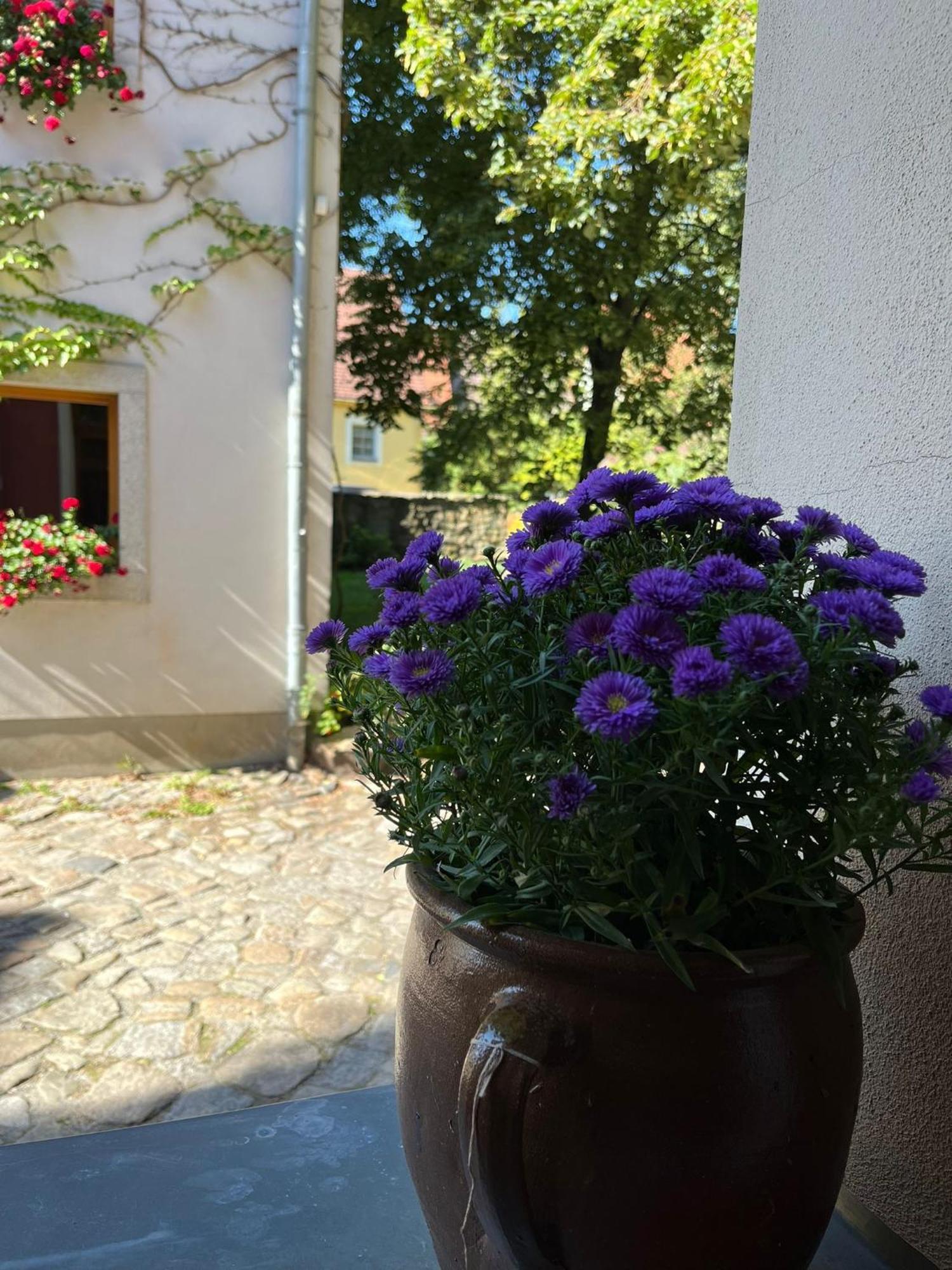 Appartement 5 Predigergasse Bautzen Eksteriør billede