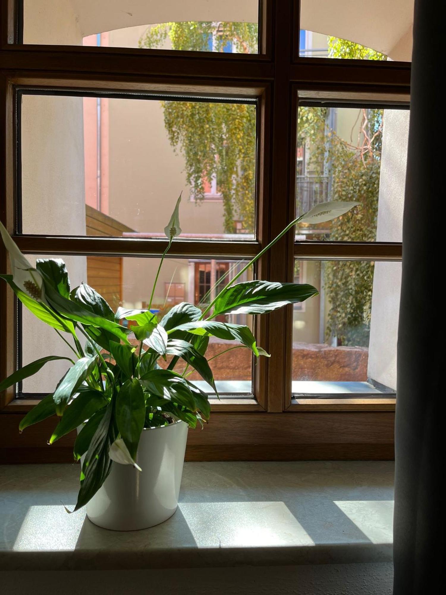 Appartement 5 Predigergasse Bautzen Eksteriør billede